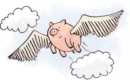 风停了猪死了，半空中跌落的小米摔得鼻青脸肿3