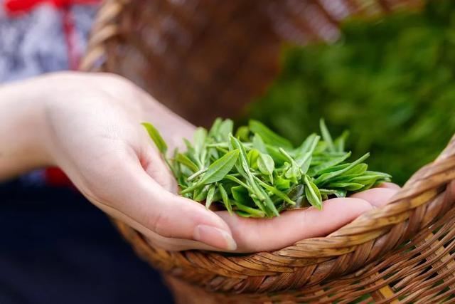 1斤茶卖6250元？！起底“小罐茶”成名史：卖的不是茶，是营销